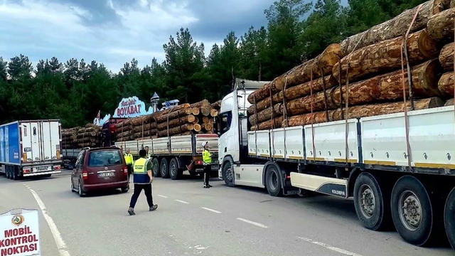 Sinop'ta orman emvali nakilleri denetimi