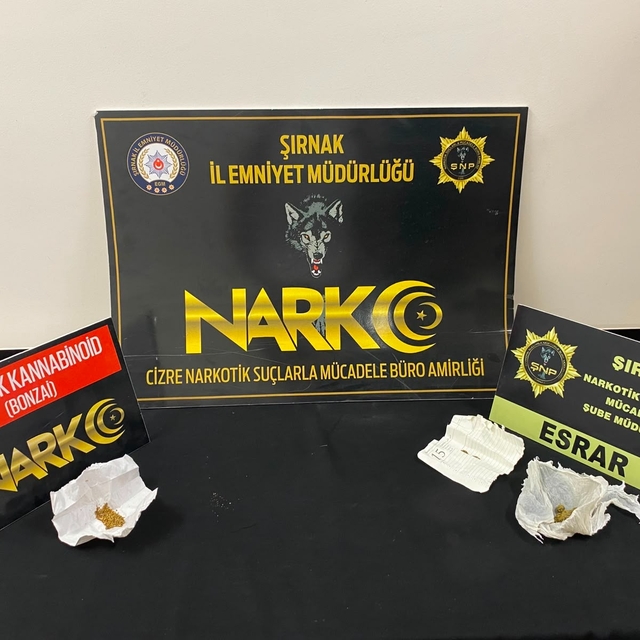 Şırnak'ta kaçakçılık ve asayiş operasyonlarında 1 şüpheli tutuklandı