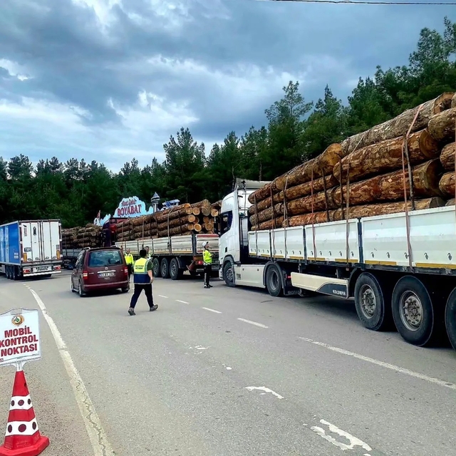Sinop'ta orman emvali nakilleri denetimi