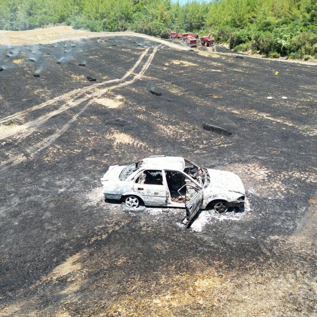 Adana'da park halindeki araçta çıkan yangın ormanlık alana sıçradı