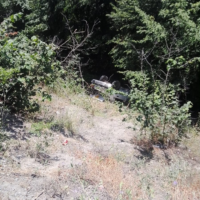 Ormanlık alana uçan otomobildeki 3 kişi yaralandı