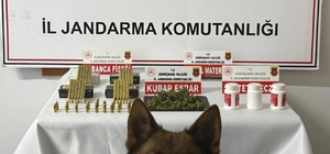 Gümüşhane'de uyuşturucu operasyonu