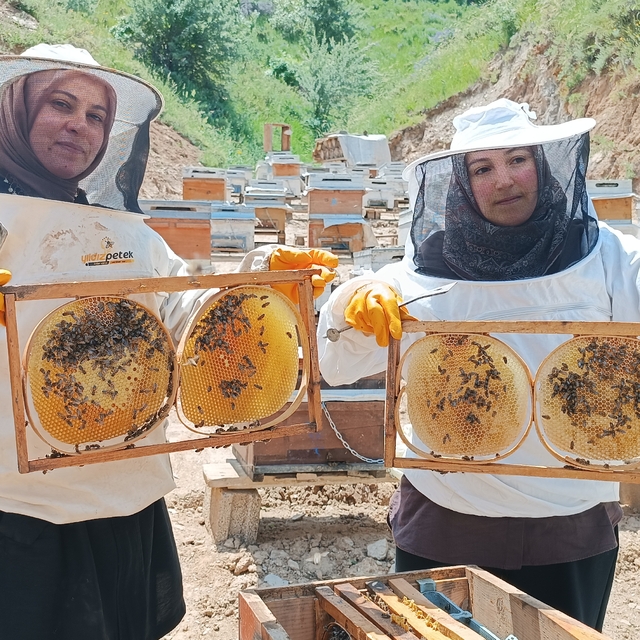 Bitlis'te omuz omuza veren yenge ve görümcesi arıcılıkta söz sahibi olmak i...