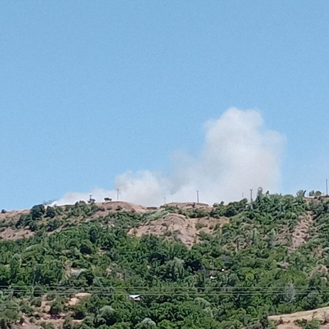 Elazığ'da arazi yangını