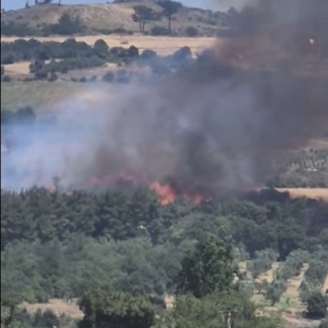 Çanakkale'de tarım arazisinde yangın