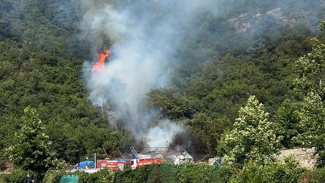Bursa'da ormanlık alanda yangın