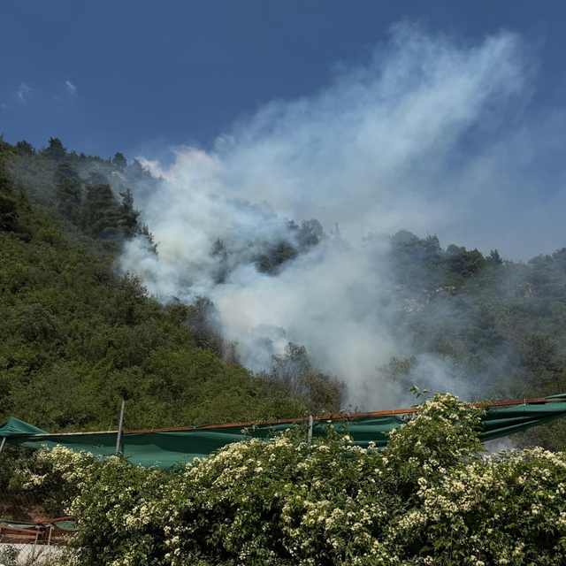 Bursa'da çıkan orman yangınına müdahale ediliyor