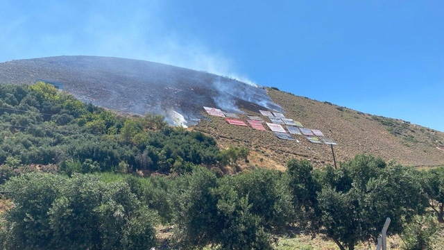 Hatay'da çıkan orman yangını büyümeden söndürüldü