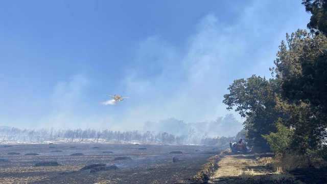 Çanakkale'de tarım arazisinde yangın (2)