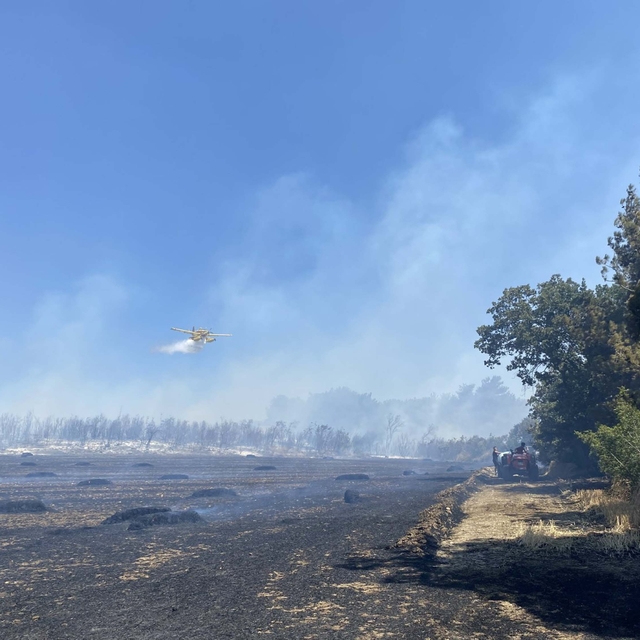 Çanakkale'de tarım arazisinde yangın (2)