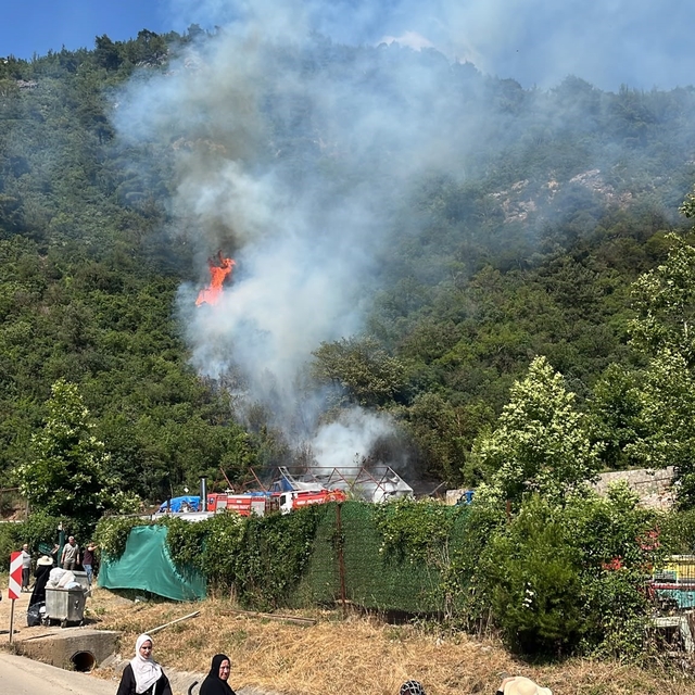 Bursa'da ormanlık alanda yangın