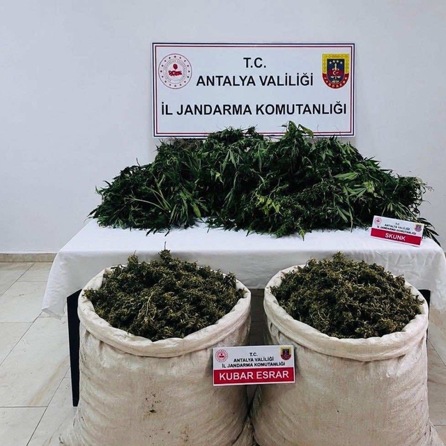 Antalya'da uyuşturucu operasyonunda 11 kilo 100 gram kubar esrar ele geçiri...