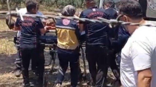 Osmaniye'de anız yangını meyve bahçelerine sıçradı: 1 kişi hastanelik oldu
