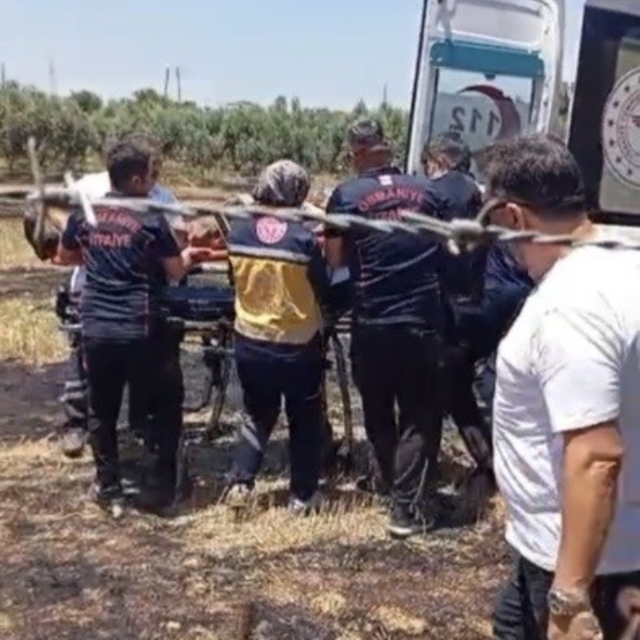 Osmaniye'de anız yangını meyve bahçelerine sıçradı: 1 kişi hastanelik oldu