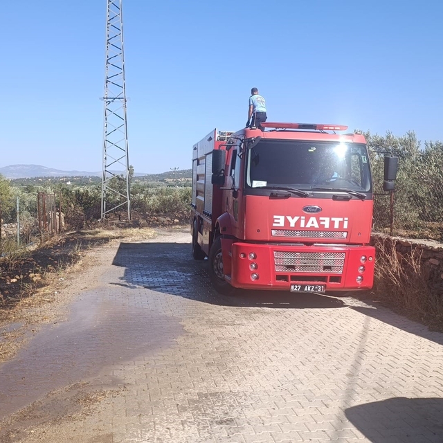 Gaziantep'te zeytinlik alanda yangın