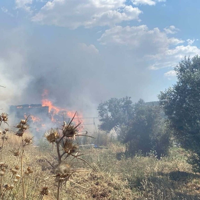 Çanakkale'de tarım arazisinde yangın (3)