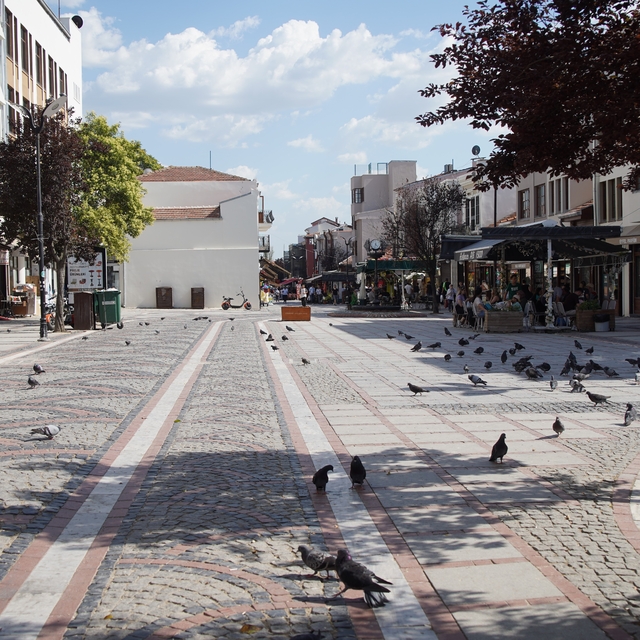 Edirne sıcaktan kavruldu: Cadde ve sokaklar boş kaldı