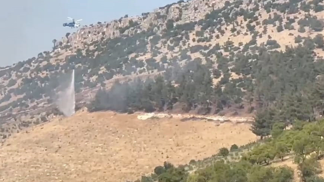 Gaziantep'te orman yangını