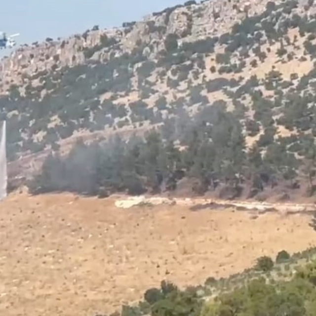 Gaziantep'te orman yangını