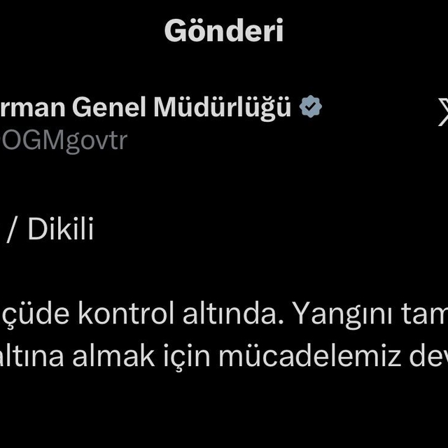 İzmir'de maki yangını (4)