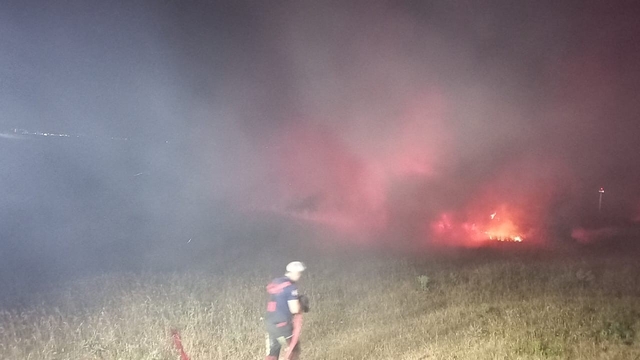 Bandırma'da eski askeri çamlıkta çıkan yangın söndürüldü