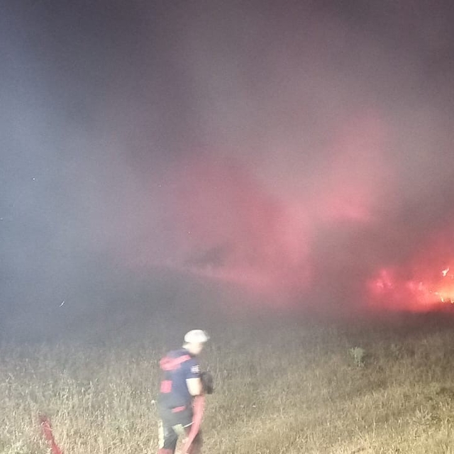 Bandırma'da eski askeri çamlıkta çıkan yangın söndürüldü
