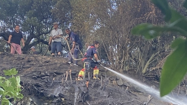 Marmara'da çıkan ot yangını ormana sıçramadan söndürüldü