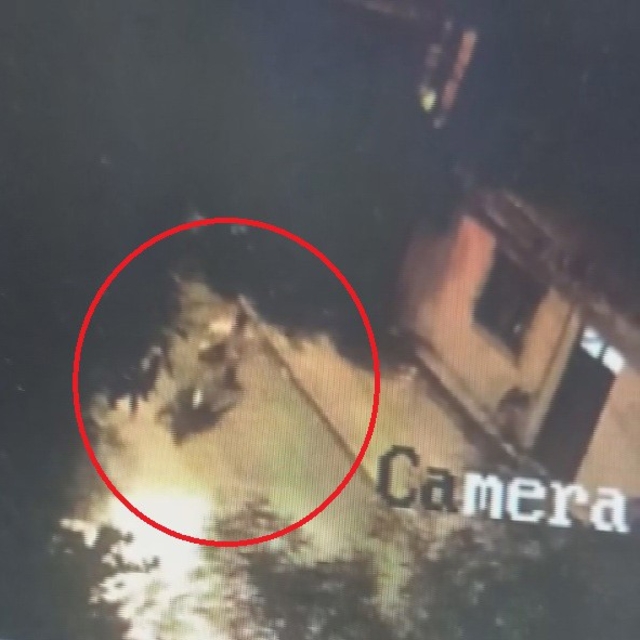 Motosikleti rahat tavırlarla çalan hırsızın o anları kamerada