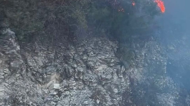 Yayladağı'nda ormanlık alanda çıkan yangın kontrol altına alındı