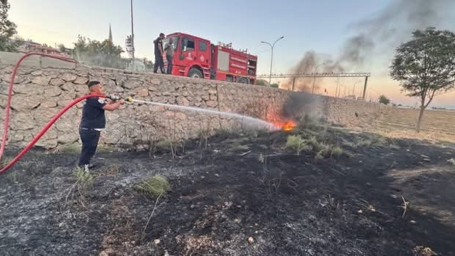 Kırıkhan'da zeytinlik alan yangını