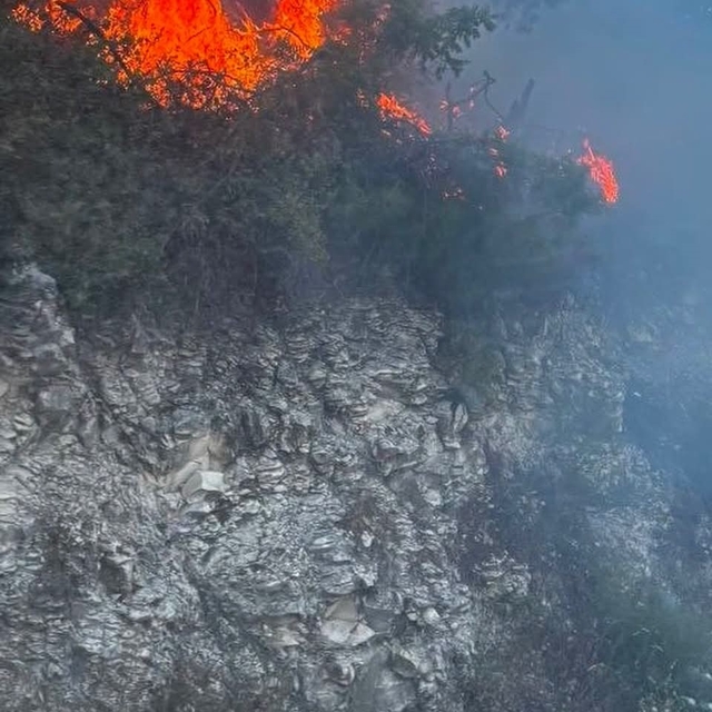 Yayladağı'nda ormanlık alanda çıkan yangın kontrol altına alındı
