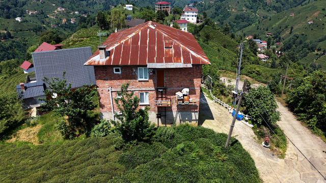 Galeri