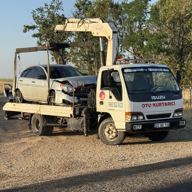Edirne'de otomobilin çarptığı 6 koyun telef oldu