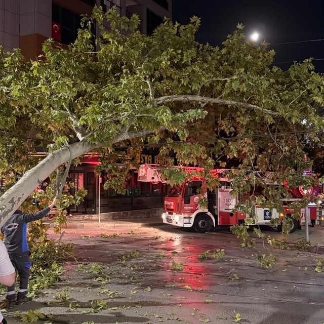 Tramvay hattına düşen dal seferleri aksattı