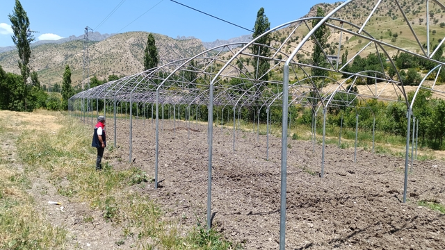 Şırnak'ta sera yatırımları yerinde incelendi