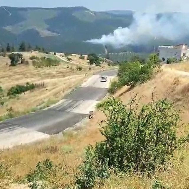 Bursa'da orman yangını
