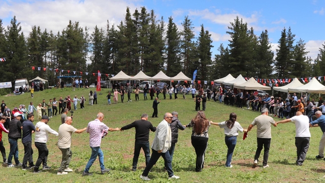'Karnavas Dut Pekmezi Festivali renkli görüntülere sahne oldu