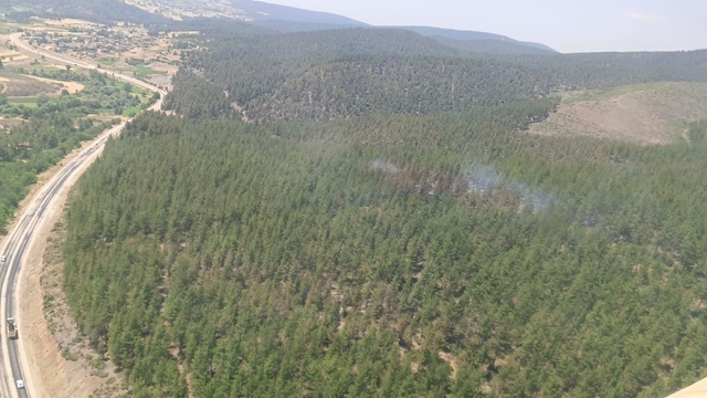 Bursa'da orman yangını (3)