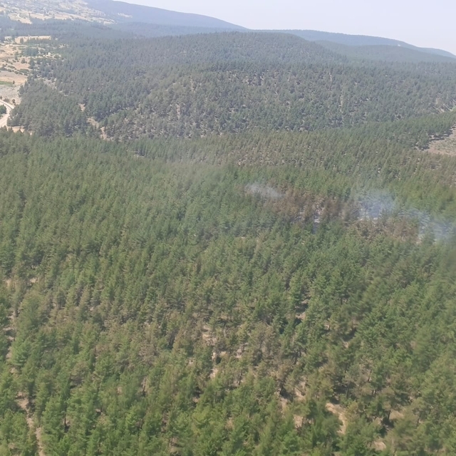 Bursa'da orman yangını (3)