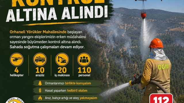 Bursa'da orman yangını (4)