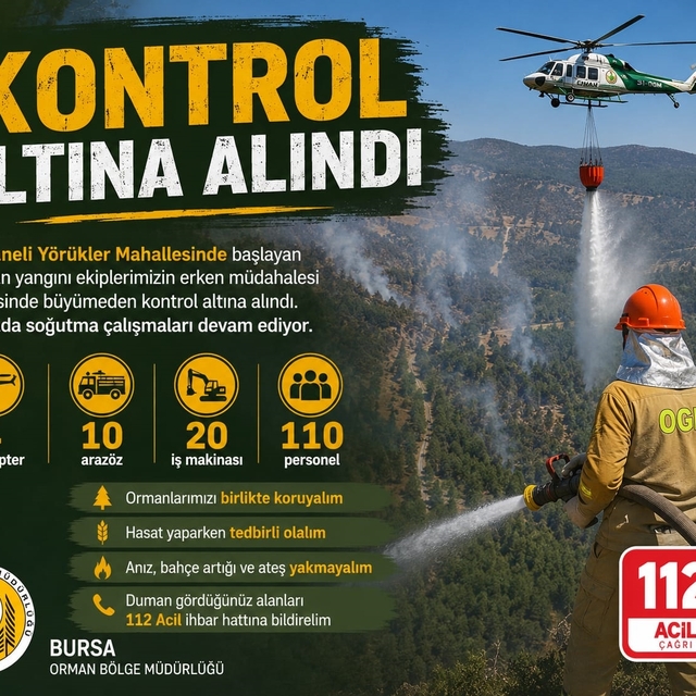 Bursa'da orman yangını (4)