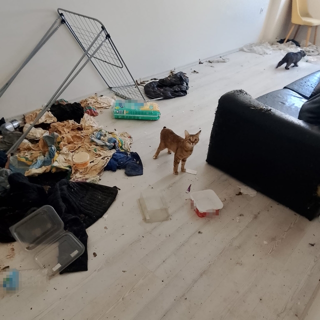 Komşuları taşınmak zorunda bırakan koku ihbarında şoke eden manzara
Apartma...