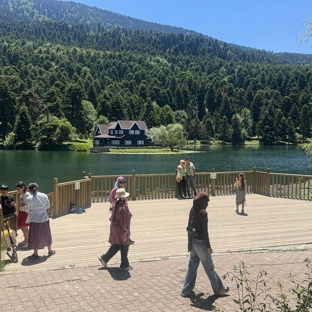 Bolu'da sıcaktan bunalanların adresi Gölcük Tabiat Parkı oldu
