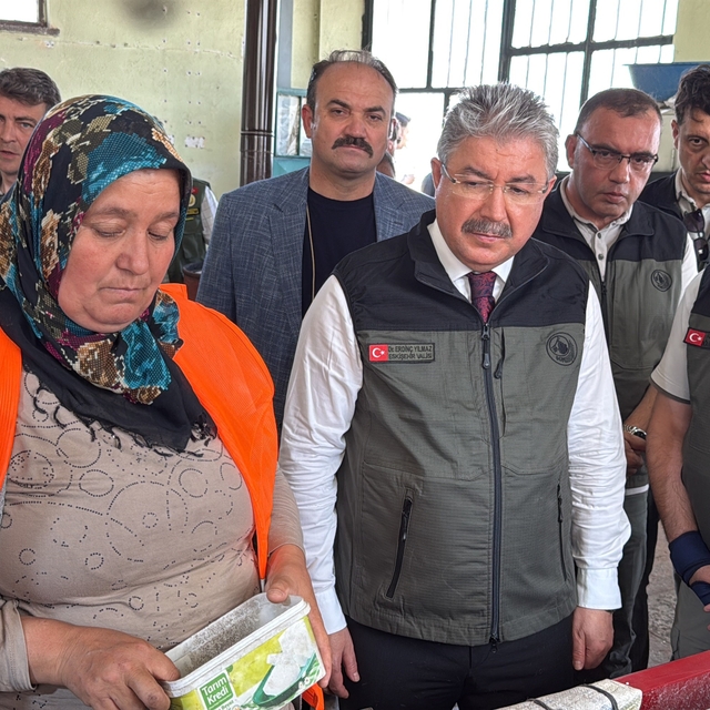 Eskişehir'den yangın bölgelerine gönderilen milyonlarca fidan 'nefes' olaca...