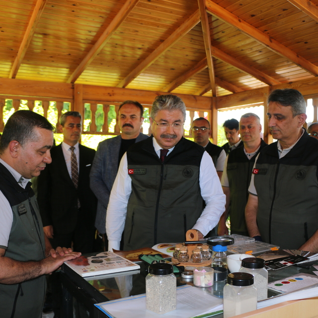 Eskişehir'de yetiştirilen 3 milyon 400 bin fidan Bursa'da yanan yerlere dik...
