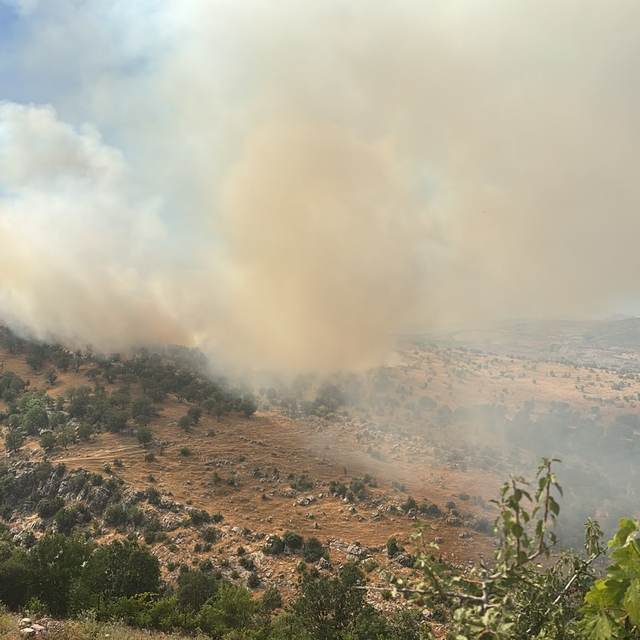 Diyarbakır'da çıkan orman yangınına müdahale ediliyor