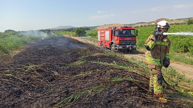 Aşırı sıcaklar Manisa'yı ateş çemberine çevirdi