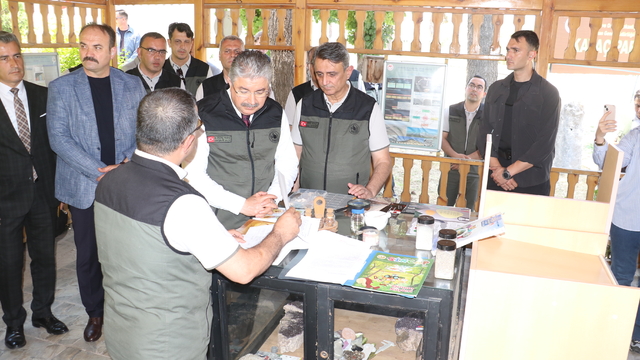 Bursa'da yanan ormanlar, Eskişehir'de üretilen fidanlarla yeşillenecek