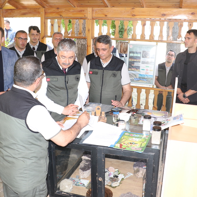 Bursa'da yanan ormanlar, Eskişehir'de üretilen fidanlarla yeşillenecek