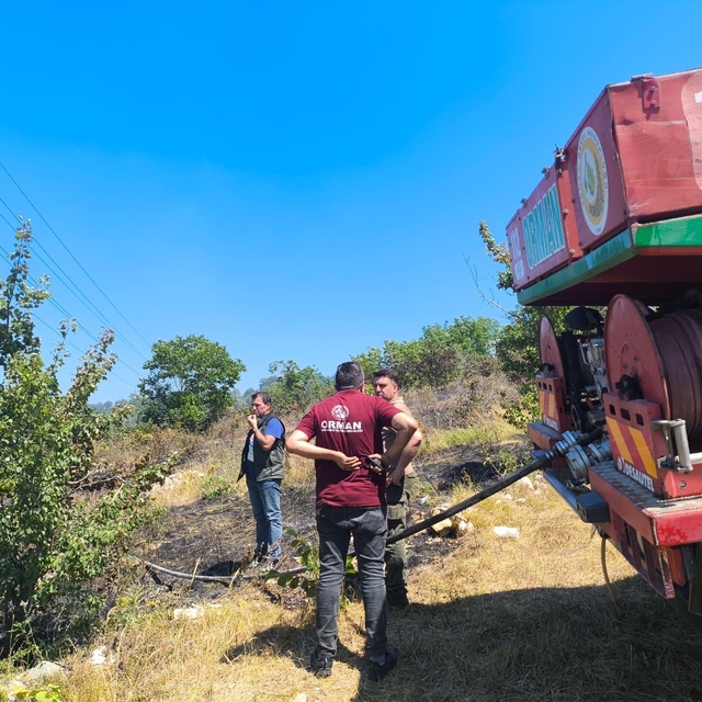 Zonguldak'ta çıkan yangında 2 hektar fındıklık alan yandı